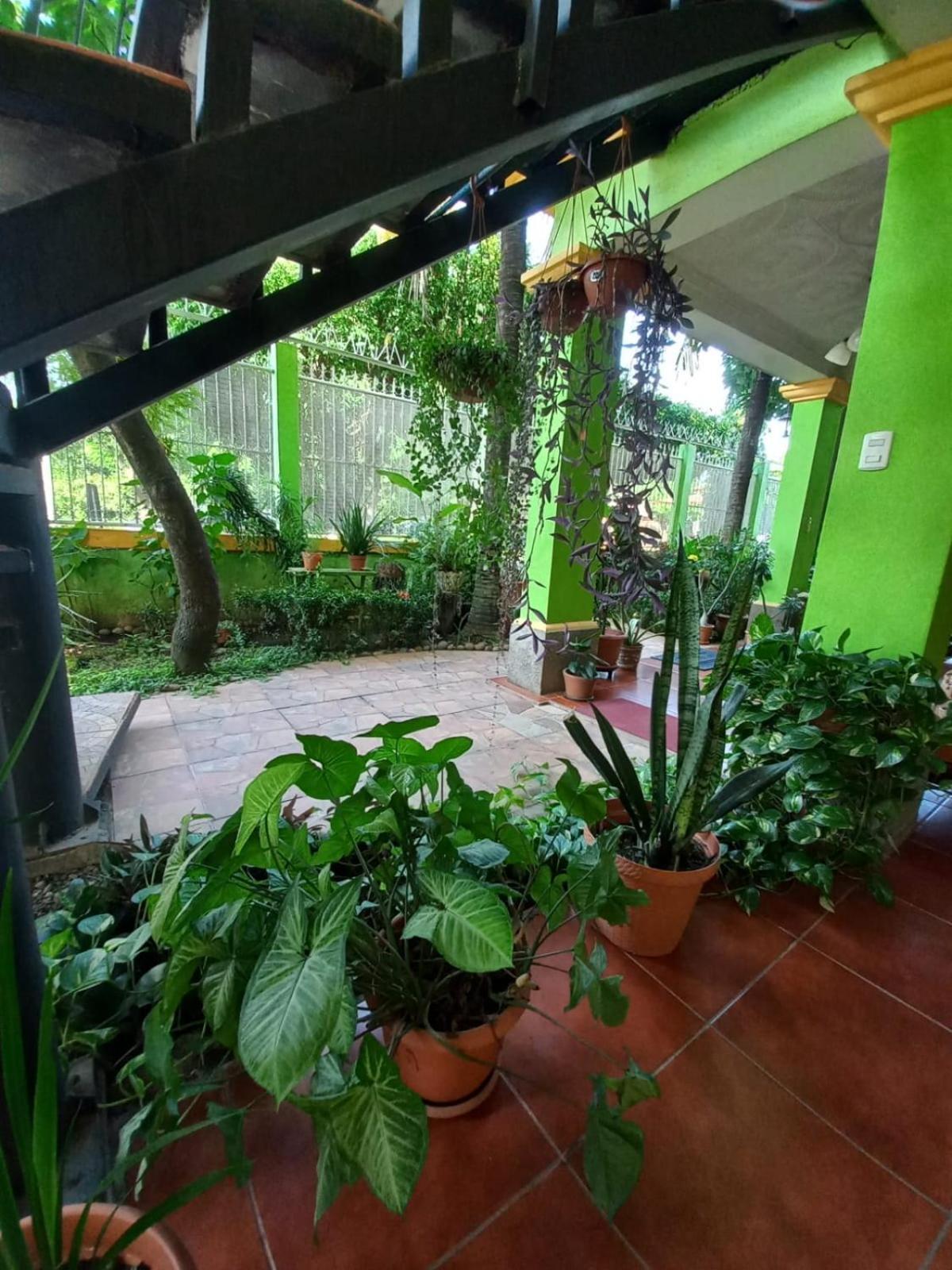 Hostal San Antonio เลออน ภายนอก รูปภาพ